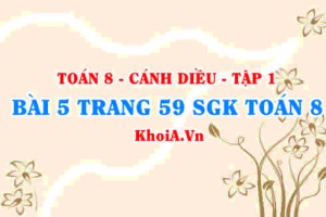 Bài 5 trang 59 SGK Toán 8 tập 1 Cánh Diều